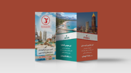 بروشورسیناپرواز